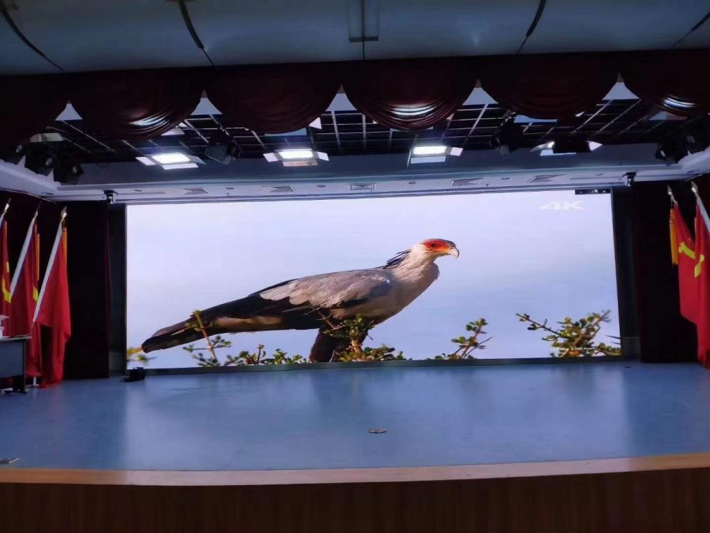 The screen shows a bird standing on a branch