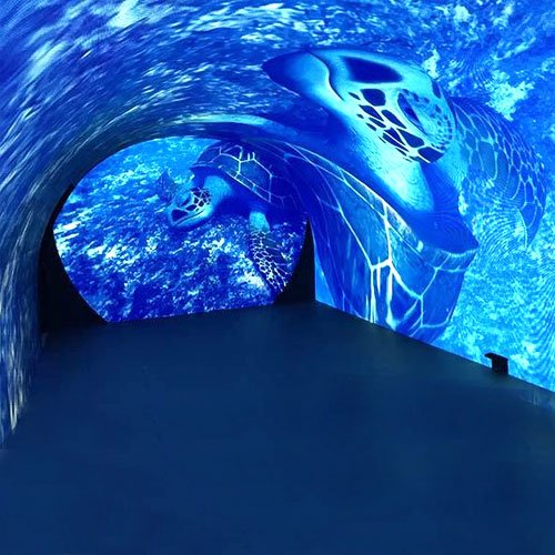 Aquarium tunnel LED display