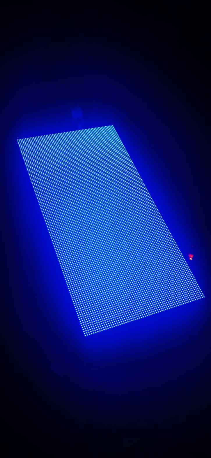 Blue Emitting LED Module