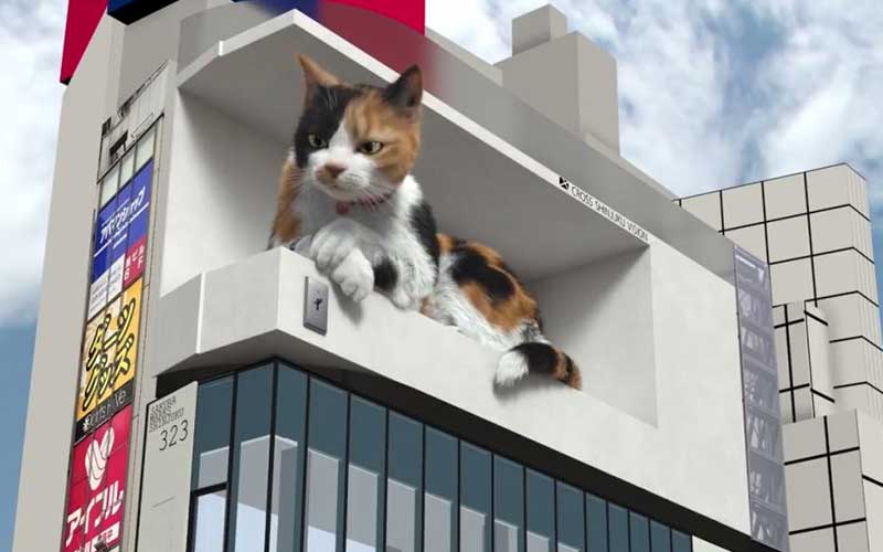 3D Cats In Shinjuku, Japan