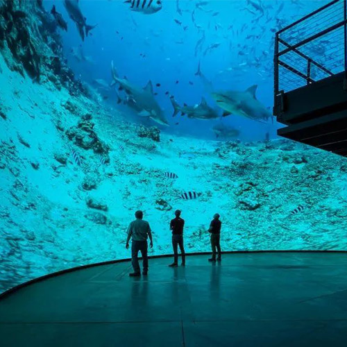 Aquarium Immersive LED Screen