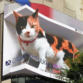 3D LED Display