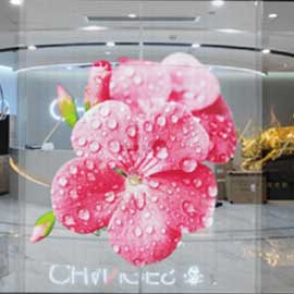 Affichage LED transparent