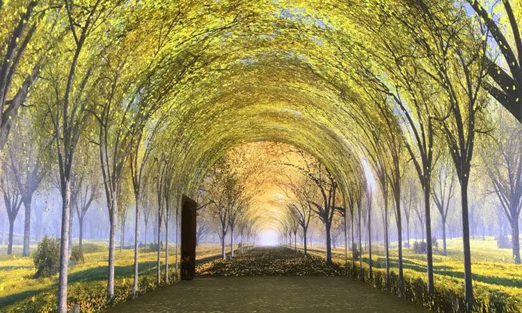 Tema Parkı LED Ekran Tüneli