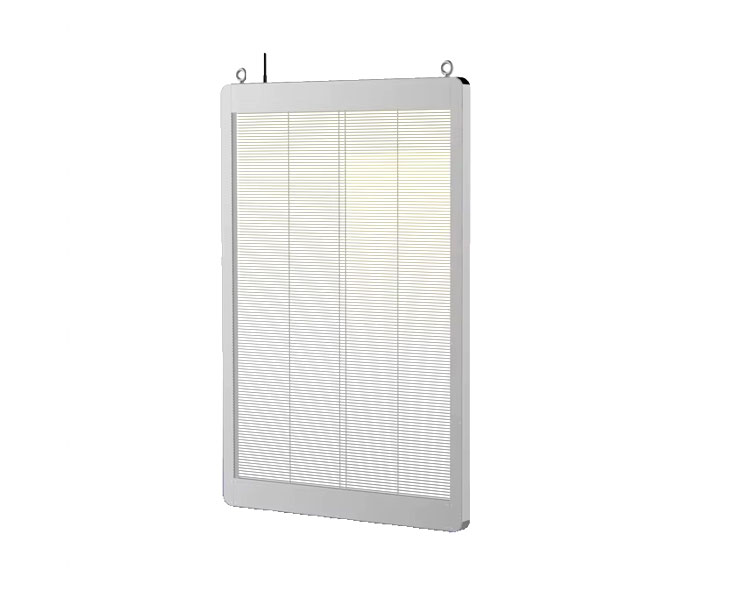 P2.1 Poster LED trasparente
