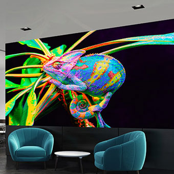 Parete video LED a passo fine P1.9 Parete video LED