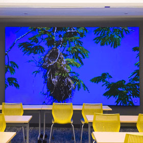 Videowall LED a passo fine in classe