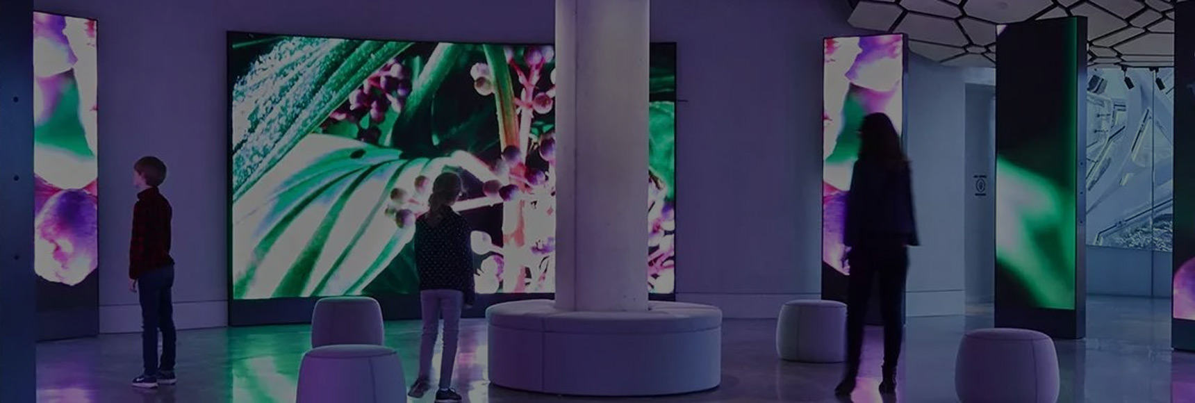 Hintergrundbilder für Museums-LED-Bildschirme