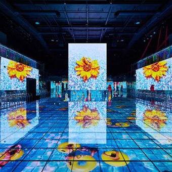 Transparente Museums-LED-Bildschirme