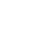 Dual Network White Icon