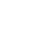 Performance White Icon