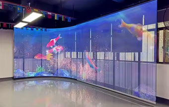 Esnek LED Film