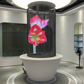 Affichage LED transparent d'intérieur pour musée
