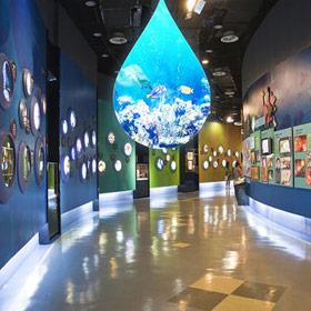 Display LED a forma di goccia d'acqua dei musei scientifici