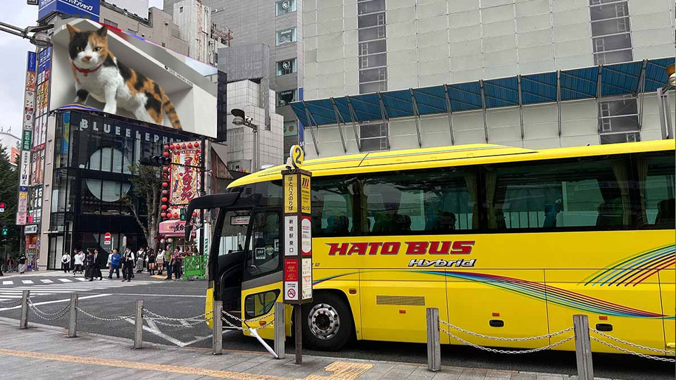 Il posto migliore per guardare Shinjuku 3D Cat
