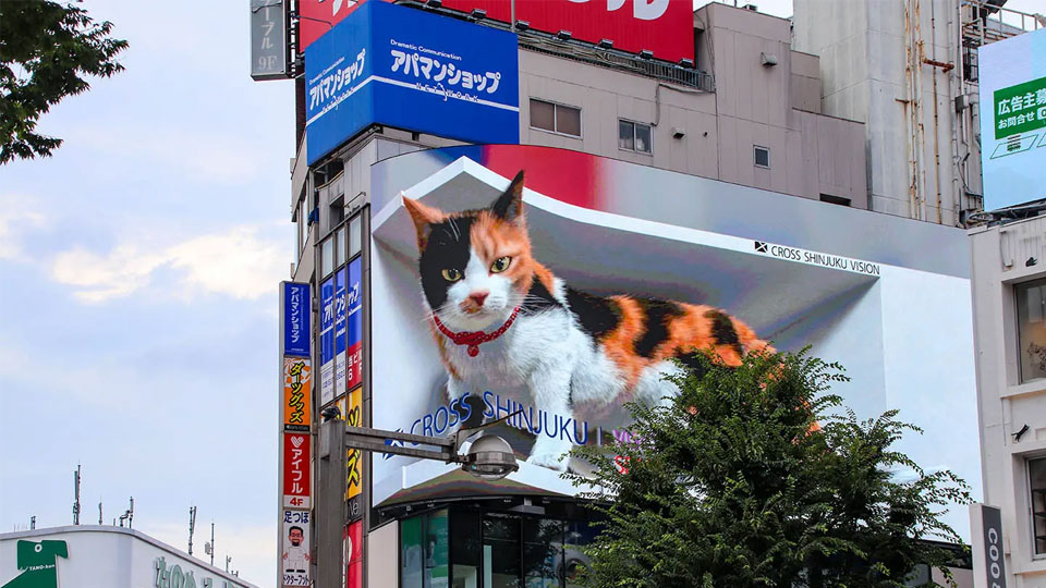 Shinjuku 3D-Katze